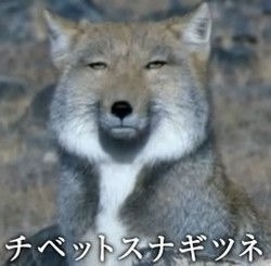 あなたと旦那さんは誰(何)に似てますか?