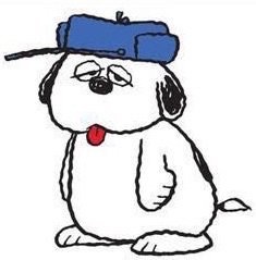 あなたと旦那さんは誰(何)に似てますか?