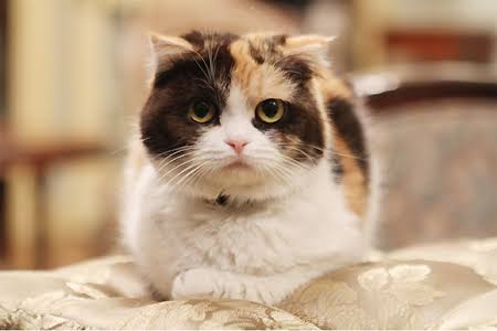 今の感情を画像で!