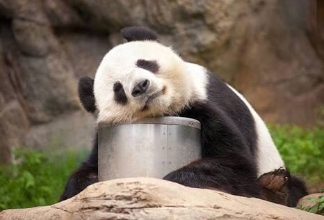 今の感情を画像で!