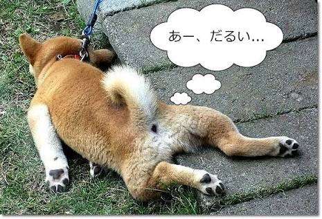今の感情を画像で!