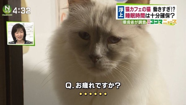 今の感情を画像で!