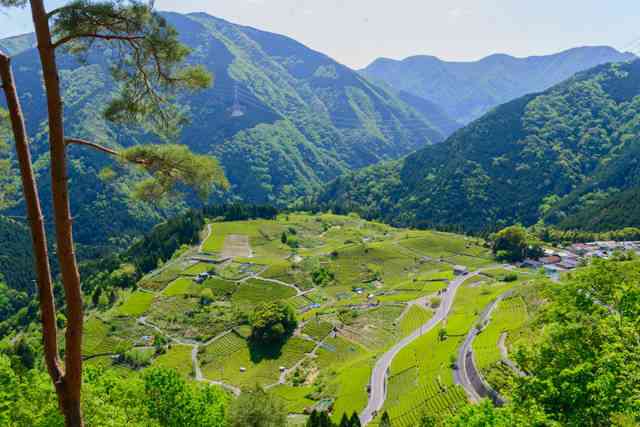 岐阜県民の方