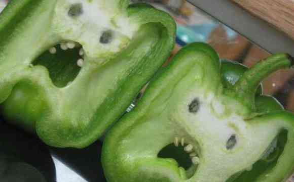 顔に見えちゃう画像（心霊モノは除く）