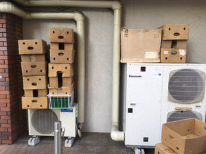 顔に見えちゃう画像（心霊モノは除く）