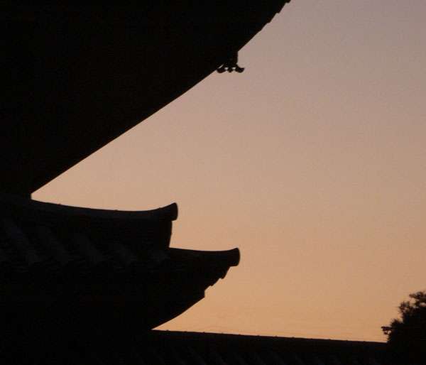 顔に見えちゃう画像（心霊モノは除く）