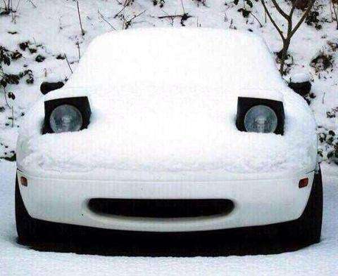 顔に見えちゃう画像（心霊モノは除く）