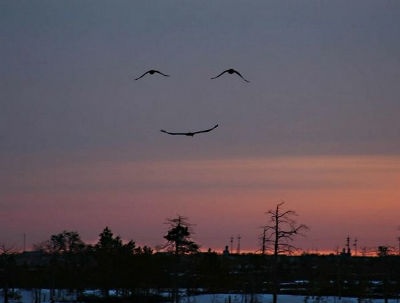 顔に見えちゃう画像（心霊モノは除く）