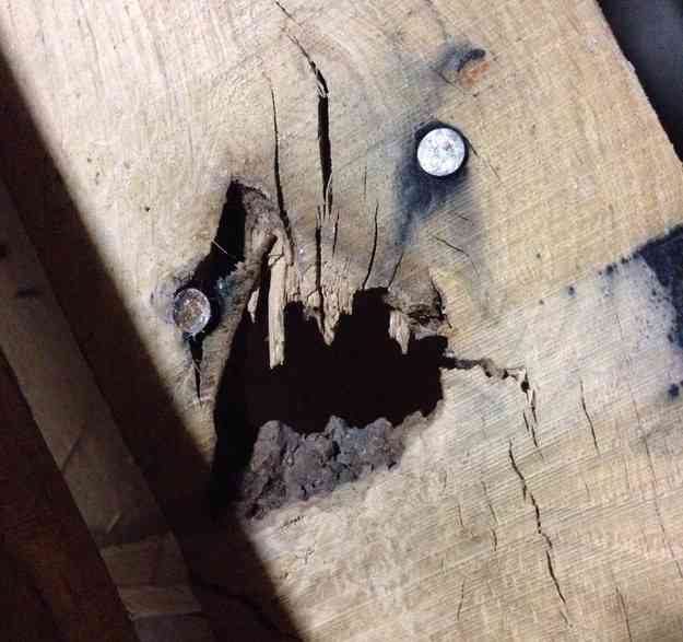 顔に見えちゃう画像（心霊モノは除く）