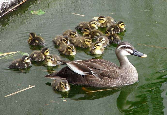 顔に見えちゃう画像（心霊モノは除く）