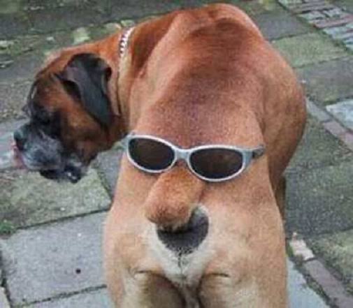 顔に見えちゃう画像（心霊モノは除く）