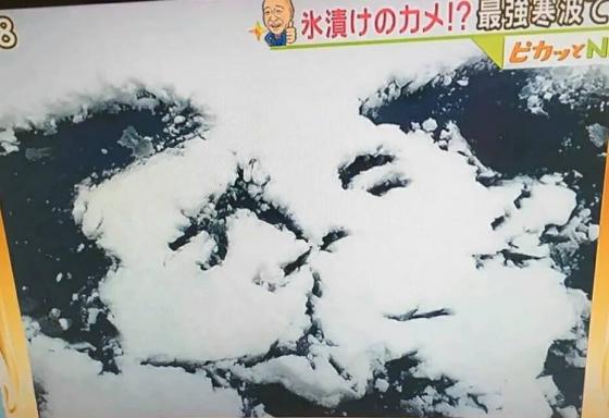 笑えるコラ画像ください
