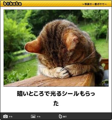 ガルちゃん猫カフェ5号店オープンしました