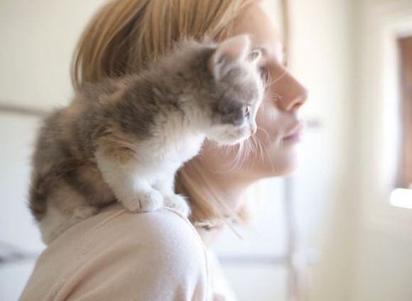 ガルちゃん猫カフェ5号店オープンしました