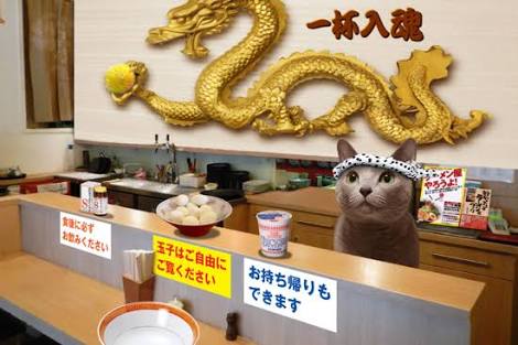 ガルちゃん猫カフェ5号店オープンしました