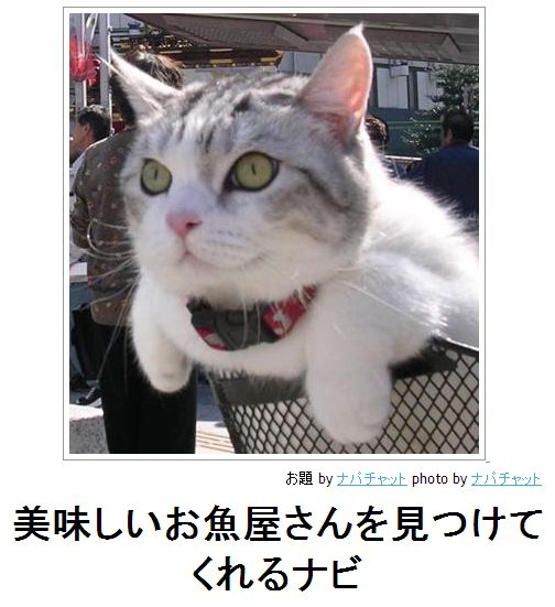 ガルちゃん猫カフェ5号店オープンしました