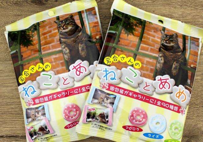 ガルちゃん猫カフェ5号店オープンしました