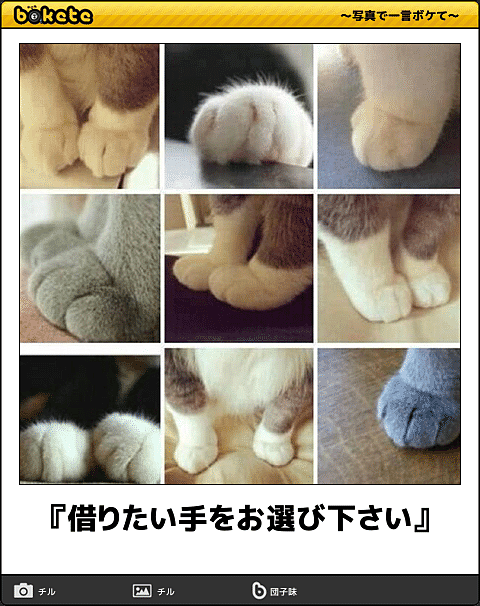 ガルちゃん猫カフェ5号店オープンしました