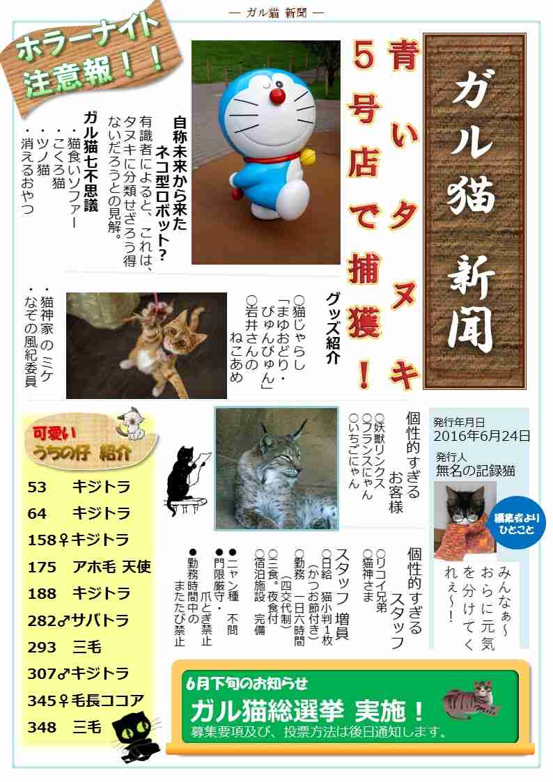 ガルちゃん猫カフェ5号店オープンしました