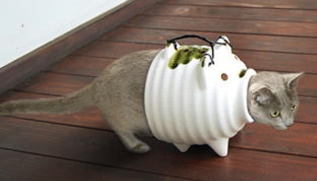 ガルちゃん猫カフェ5号店オープンしました