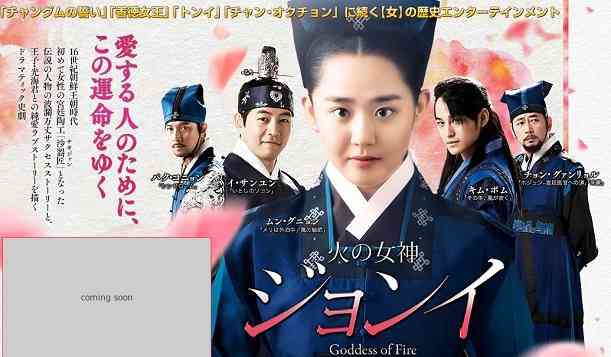 実は韓流ドラマにはまってる方！