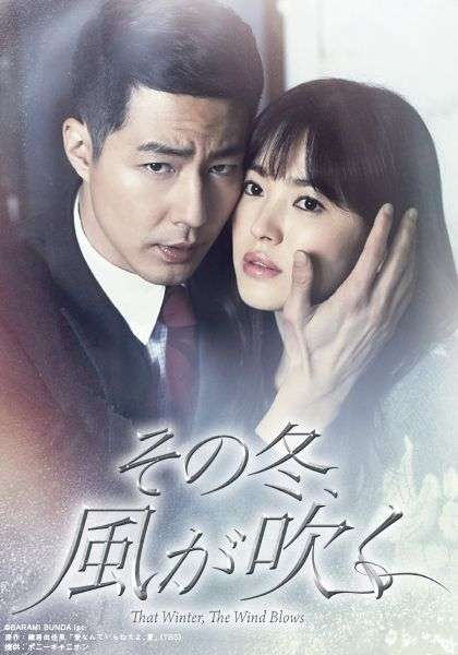 実は韓流ドラマにはまってる方！