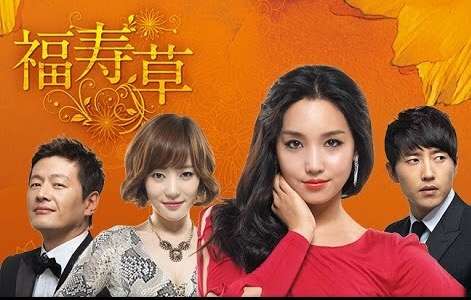 実は韓流ドラマにはまってる方!