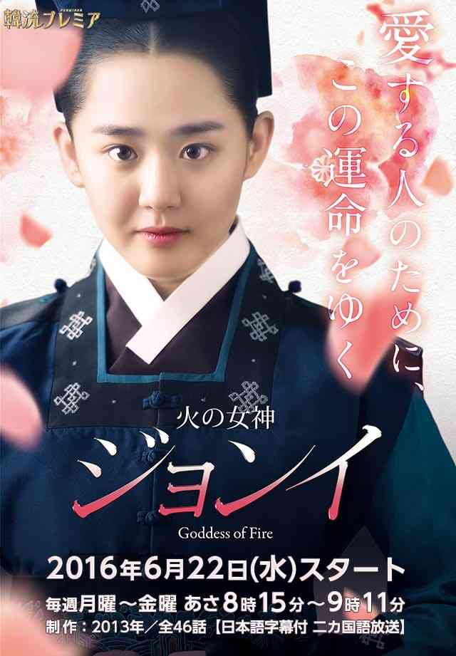 実は韓流ドラマにはまってる方!