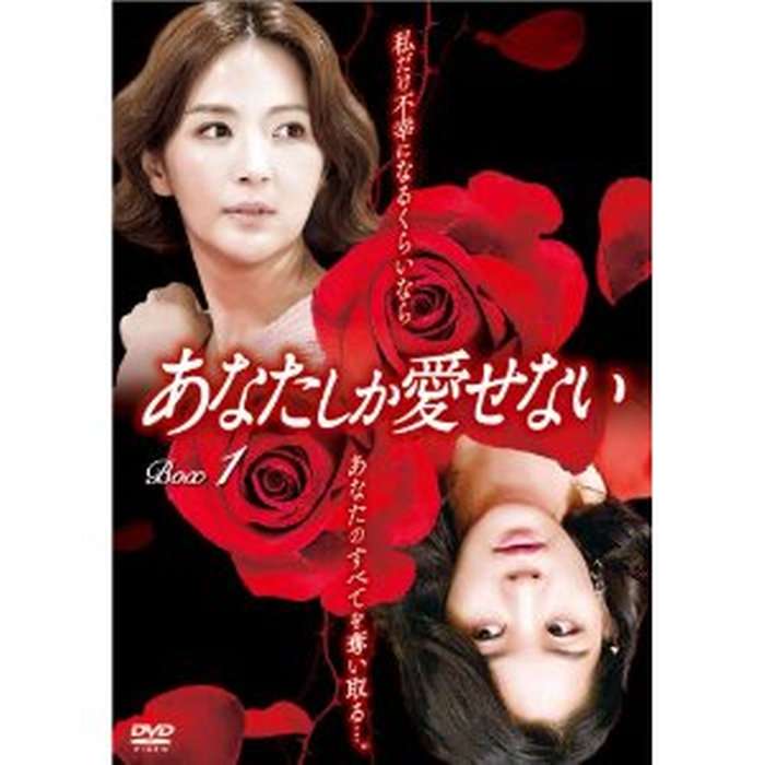 実は韓流ドラマにはまってる方!