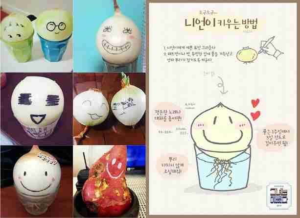 実は韓流ドラマにはまってる方！