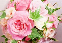 実は韓流ドラマにはまってる方！