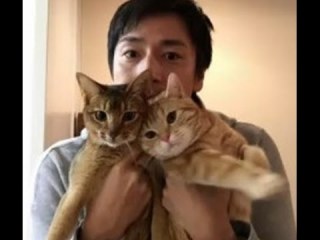 芸能人のペット画像