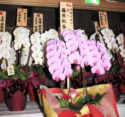 すみれ&藤原紀香&早見優、熊本支援チャリティーで豪華3ショット