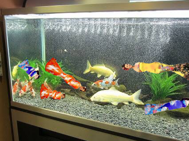 すみれ&藤原紀香&早見優、熊本支援チャリティーで豪華3ショット