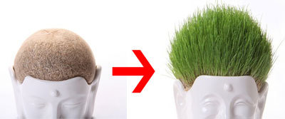 【画像】面白い見た目の植物【ブツブツ禁止】