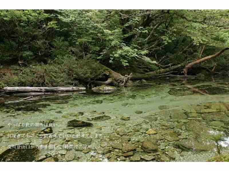 国内で綺麗な川