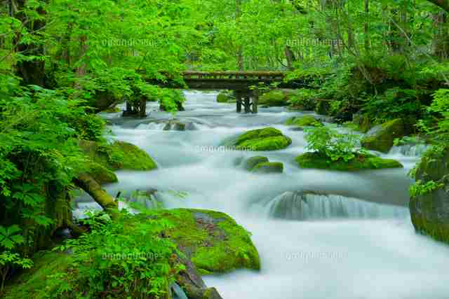国内で綺麗な川
