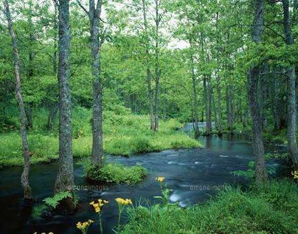 国内で綺麗な川