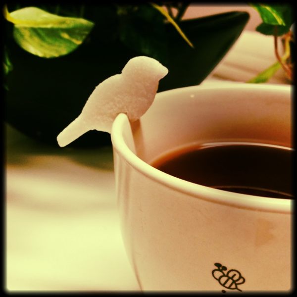コーヒー好きな方！プレゼントに貰うなら何が嬉しいですか？