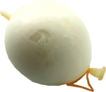○○好きだったのにいつの間にか無くなった物