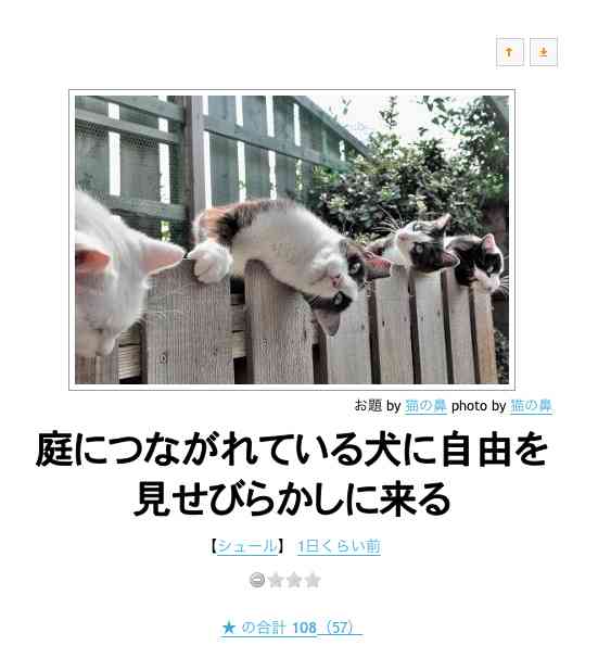 動物のボケて貼って下さい