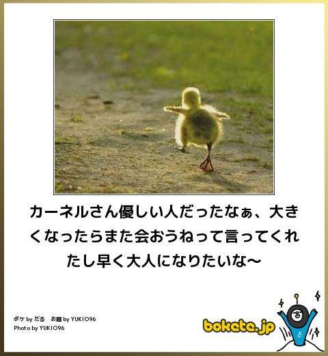 動物のボケて貼って下さい