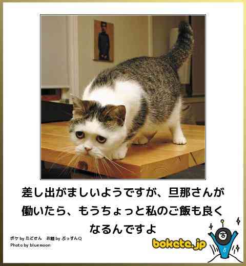 動物のボケて貼って下さい