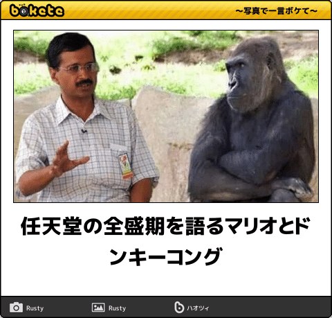 動物のボケて貼って下さい