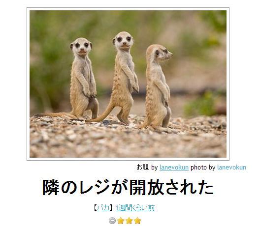 動物のボケて貼って下さい