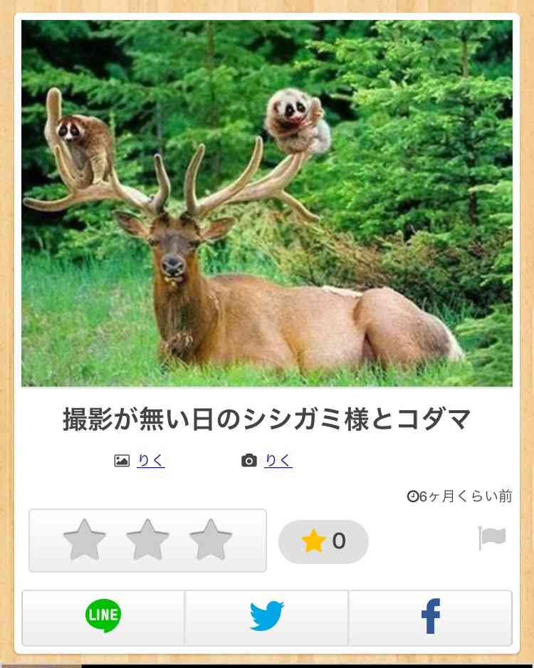 動物のボケて貼って下さい