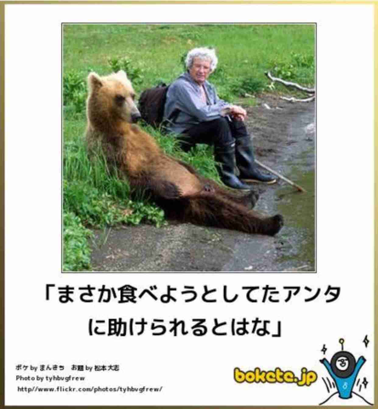 動物のボケて貼って下さい