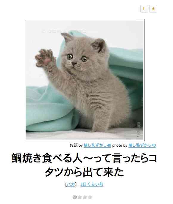 動物のボケて貼って下さい