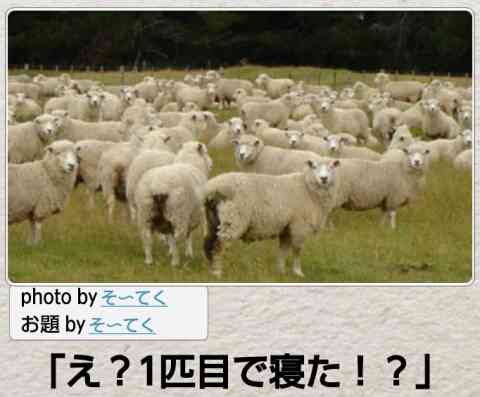 動物のボケて貼って下さい
