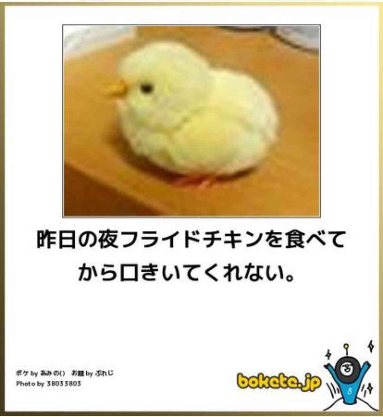動物のボケて貼って下さい